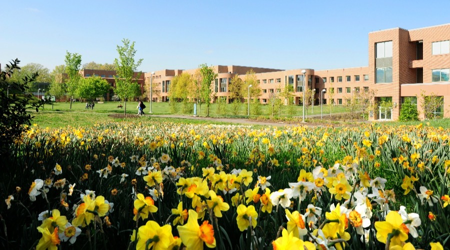 Photo of the Foreign Service Institute campus in Arlington, VA, with yellow tulips in the foreground.